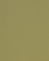 Spinnaker 122 Khaki by  Covington 