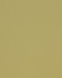 Spinnaker 13 Raffia by  Covington 