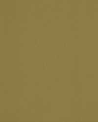 Spinnaker 140 Tan by  Covington 