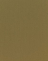 Spinnaker 199 Latte by  Covington 