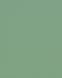 Spinnaker 220 Seagrass by  Covington 