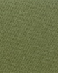 Spinnaker 228 Fern by  Covington 