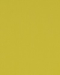 Spinnaker 244 Acid Green by  Covington 