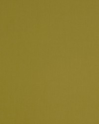 Spinnaker 245 Peat Moss by  Covington 