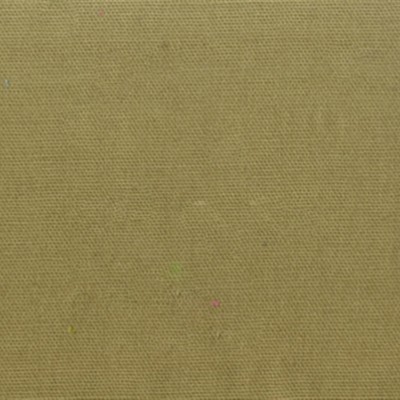 Spinnaker 288 Pear COTTON Fire Rated Fabric