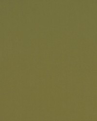 Spinnaker 289 Ivy by  Covington 