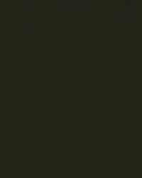 Spinnaker 290 Loden by  Covington 