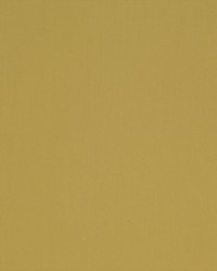 Spinnaker 302 Dust Storm by  Covington 