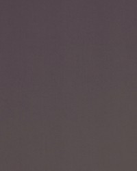 Spinnaker 427 Heather Moon by  Covington 