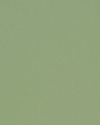 Spinnaker 509 Surf by  Covington 