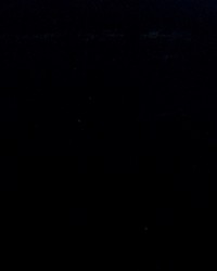 Spinnaker 555 Classic Navy by  Covington 