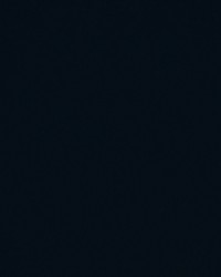 Spinnaker 591 Midnight by  Covington 