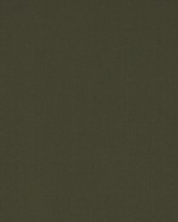 Spinnaker 945 Gunmetal by  Covington 