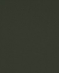 Spinnaker 948 Charcoal by  Covington 