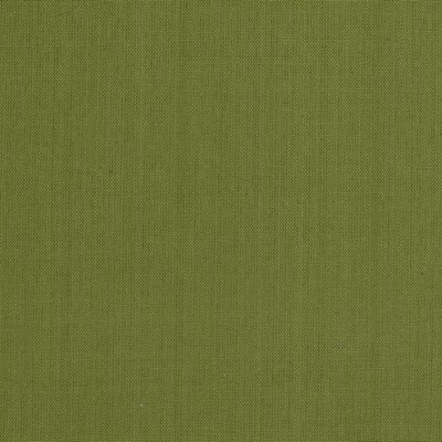 Sundance Washed Redford 208 Apple Green Green Multipurpose COTTON Solid Green   Fabric