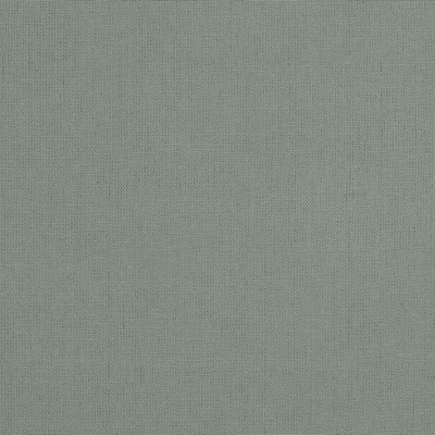 Sundance Washed Redford 224 Silver Sage Silver Multipurpose COTTON Solid Silver Gray   Fabric