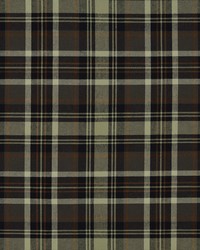 Tartan Plaid 93 Jet Black by  Covington 