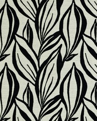 TIYA 916 EBONY-IVORY by   