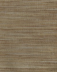 Tussah 118 Sandstone by   