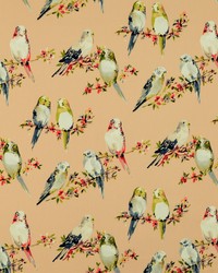 Tweety 7 Blush by  Covington 