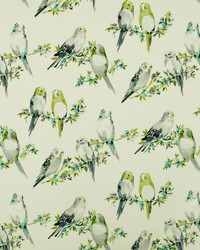 Tweety 96  Dove by  Covington 