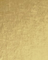 Velluto 18 Oyster by  Covington 