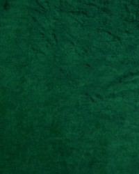 Velluto 211 Emerald by  Covington 