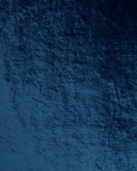 Velluto 55 Navy by  Covington 