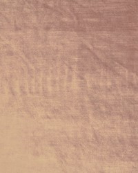 Velluto 7 Blush by  Covington 