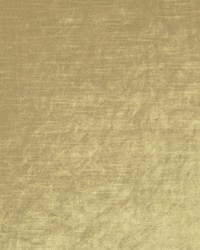 Velluto 81 Golden by  Covington 