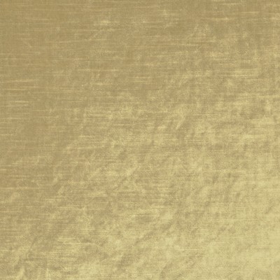 Velluto 81 Golden Gold POLYESTER Fire Rated Fabric
