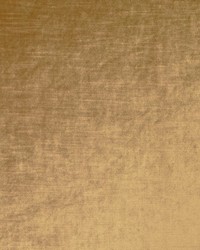 Velluto 84 Antique by  Covington 