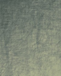 Velluto 941 Sterling by  Covington 