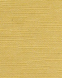 Westfield 182 Jonquil by  Covington 