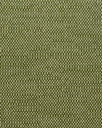 Westfield 293 Basil by  Covington 