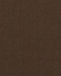 Wool Flannel Cashew by  Robert Allen 