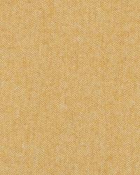 Wool Chevron Amber by   