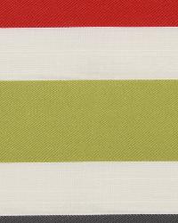 Vivid Stripe Chalkboard by  Robert Allen 