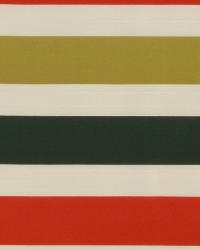 Vivid Stripe Billiard Green by  Robert Allen 