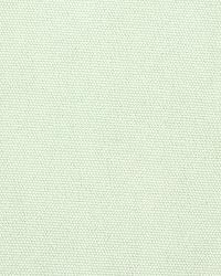 Open Prairie Mint by  Robert Allen 