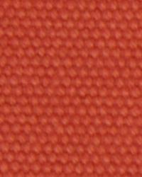 Open Prairie Saffron by  Robert Allen 