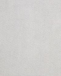 Open Prairie Dove Grey by  Robert Allen 