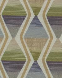 Beyond Color Iris by   