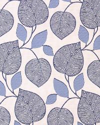 Fall Fun Iris by  Robert Allen 