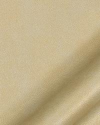 Pebble Sheen Gold Taupe by  Robert Allen 