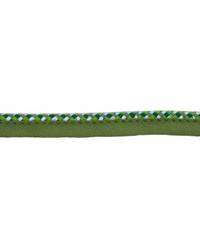 Lc103 Lipcord .25in Citrus by   