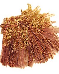 T1093 Curly Rouche Choc Ice by   