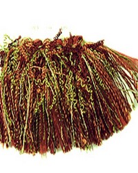 T1093 Curly Rouche Plum Surprise by   