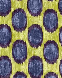 Peacock Ocelli Iris by   