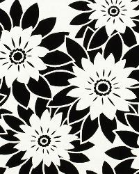 Phantom Manor Chalkboard by   